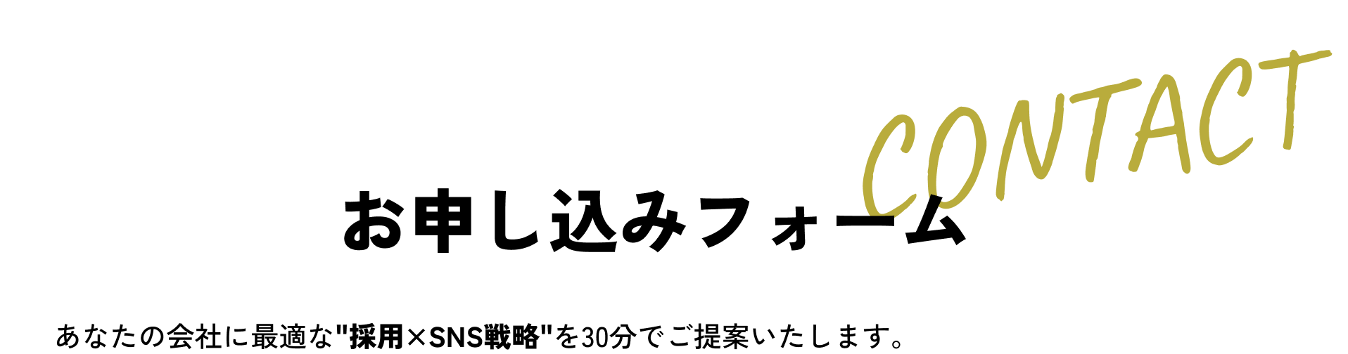 無料相談お申し込みフォーム あなたの会社に最適な'採用×SNS戦略'を30分でご提案いたします。